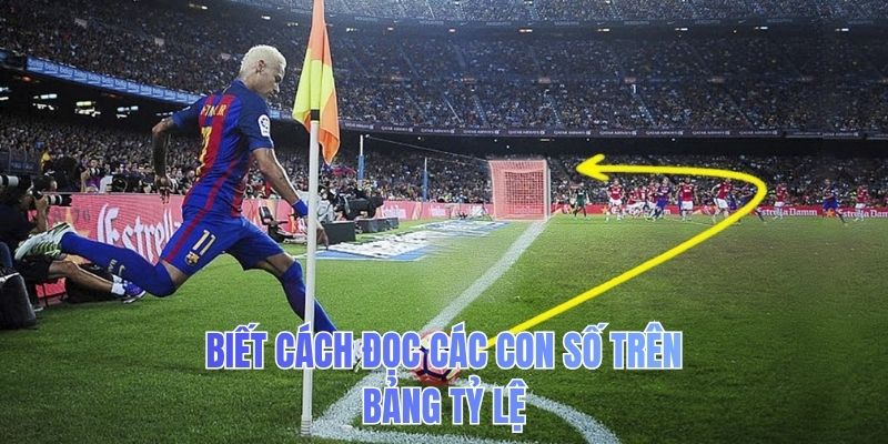 Biết cách đọc các con số trên bảng tỷ lệ