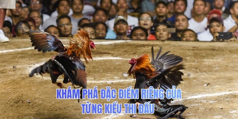 Khám phá đặc điểm riêng của từng kiểu thi đấu