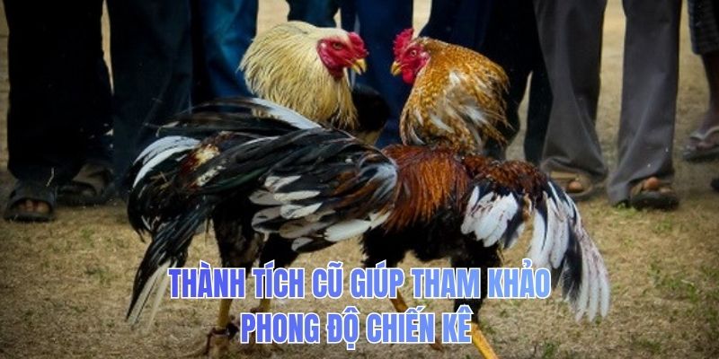 Thành tích cũ giúp tham khảo phong độ chiến kê